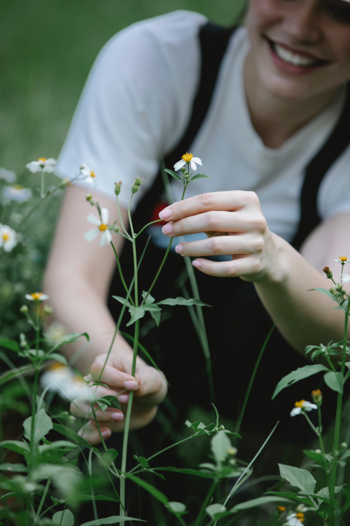 girl-herb
